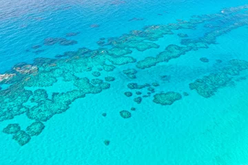Papier Peint photo Turquoise Coral reef next to the tropical paradise island of Bermuda