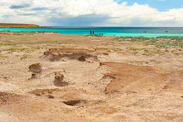 View of  king penguins on white sand beach at the Volunteer Point Nature Reserve , home to a variety of birdlife.
