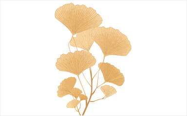 Creative hand drawn golden ginkgo leaves, vector illustration, white background.