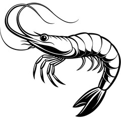 Shrimp vector illustration.
