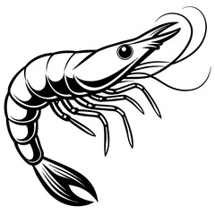 Shrimp vector illustration.
