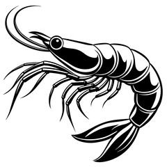 Shrimp vector illustration.
