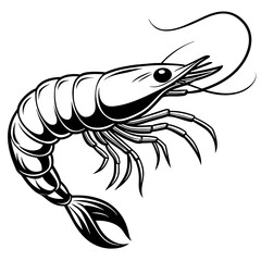 Shrimp vector illustration.
