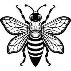           Asian giant hornet bee vector illustration.

