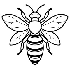           Asian giant hornet bee vector illustration.
