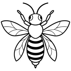          Asian giant hornet bee vector illustration.
