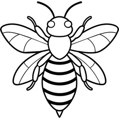           Asian giant hornet bee vector illustration.
