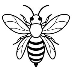           Asian giant hornet bee vector illustration.
