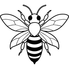           Asian giant hornet bee vector illustration.
