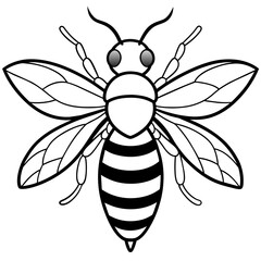           Asian giant hornet bee vector illustration.
