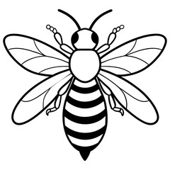          Asian giant hornet bee vector illustration.
