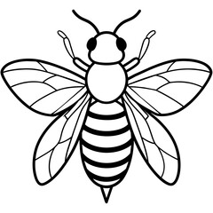           Asian giant hornet bee vector illustration.
