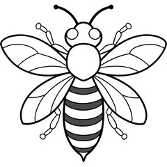           Asian giant hornet bee vector illustration.
