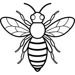           Asian giant hornet bee vector illustration.
