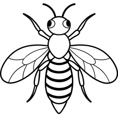           Asian giant hornet bee vector illustration.
