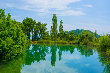 small calm lake with forest on coast at the bright summer day