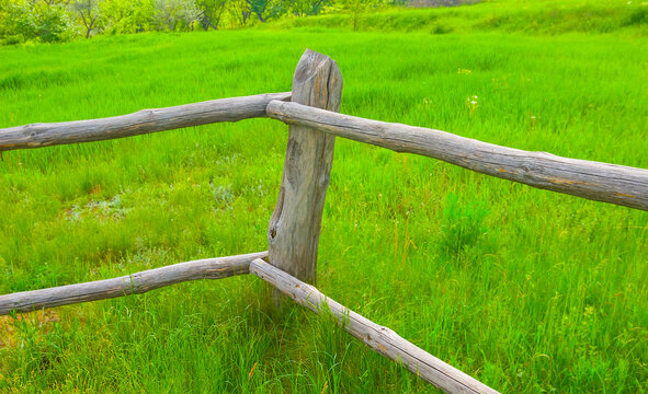 closeup wooden fense in a garden