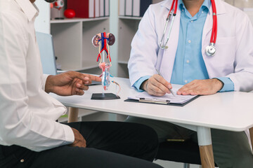 Doctors are counseling prostate cancer patients and using model of the penis to provide an example...