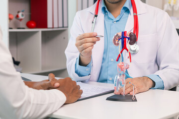 Doctors are counseling prostate cancer patients and using model of the penis to provide an example...