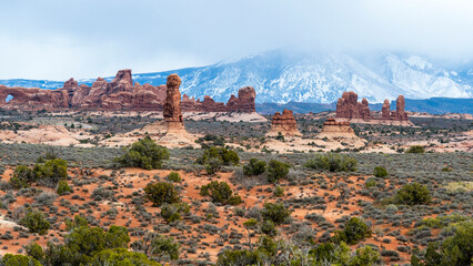 Fototapeta na wymiar Beautiful hoodoos rock formation in the Arches National park