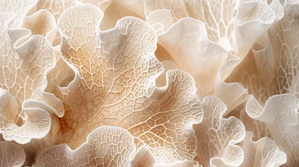 Fototapeten Texture de corail, gros plan en 3D des feuilles, veines et nervures de cette plante, univers océanique, faune et flore marine © Leopoldine