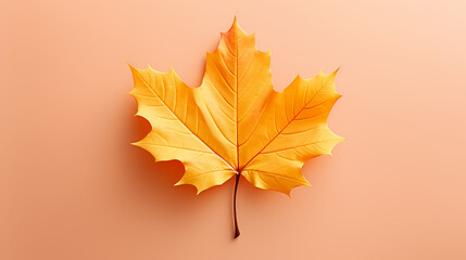 Autumn maple leaves scenery - obrazy, fototapety, plakaty