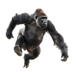 Dynamic gorilla mid-leap on invisible platform