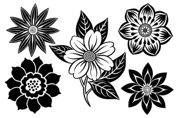 6-different-flowers--white-background