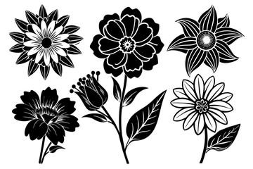 6-different-flowers--white-background