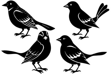 6-birds-different-style-silhouette--vector-illustration 