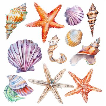 A collection of seashells and starfish, treasures of the sea, watercolor on white background