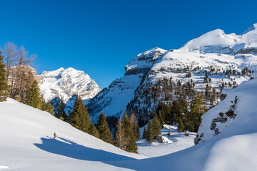 Winter hikes in Switzerland are always a good opportunity to see the beauty of the snowy mountains