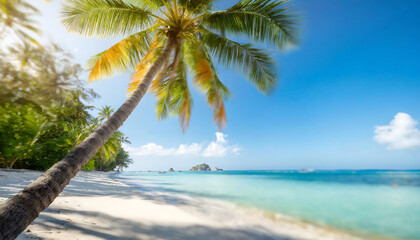 A palm tree is on a beach with the ocean in the background. The palm tree is tall and has a lot of leaves. The beach is calm and peaceful, with the palm tree providing a sense of relaxation