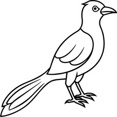    Bird vector illustration.
