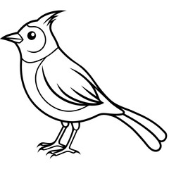    Bird vector illustration.
