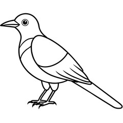    Bird vector illustration.
