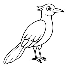    Bird vector illustration.
