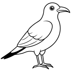    Bird vector illustration.
