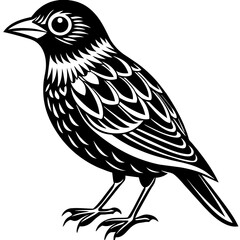    Bird vector illustration.
