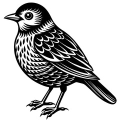        Bullhead vector illustration.
