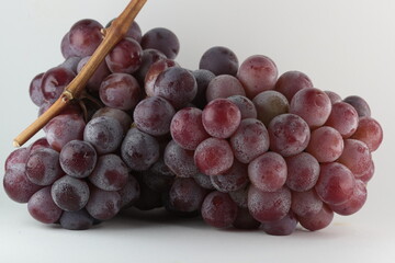 Luscious Grape Harvest: Stunning Glass Picture of Fresh Bunches of Purple Grapes on the Vine under a Clear Sky