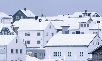 white houses in winter