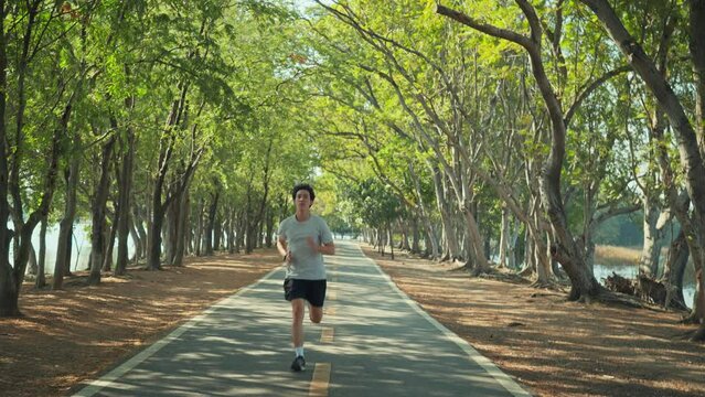Attractive asian man running in the park on a background of trees with sunlight, Fitness Man Running for health, Training Run Workout, Motivation