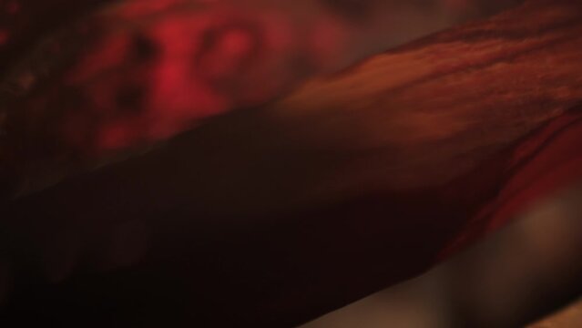 aroma stick palo santo macro shot in dim light