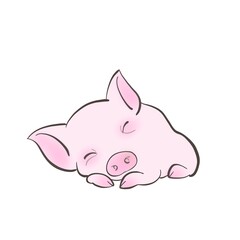 piglet 