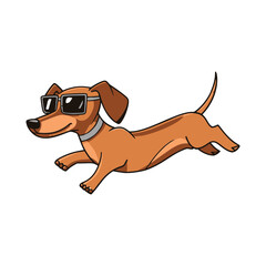 Dog Dachshund runs silhouette Breeds Bundle Dogs on the move. Dogs in different poses. High quality The dog jumps, runs. sitting. The dog is lying down playing
