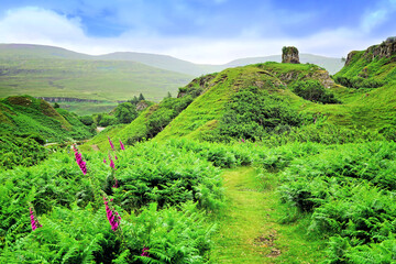 Lush green landscape of Fairy Glen, Isle of Skye, Scotland - 778330363