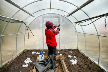 Cleaning the empty greenhouse with an antibacterial cleaner liquid, gardener spray it on the...