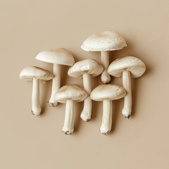 Top view of various types of mushrooms arranged neatly on a beige background for culinary and natural concept design