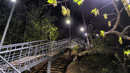 Illuminated Outdoor Staircase Winding Through a Forested Area at Night. Stairs lit by lights in...